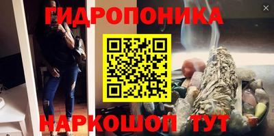 крисы Чебоксары