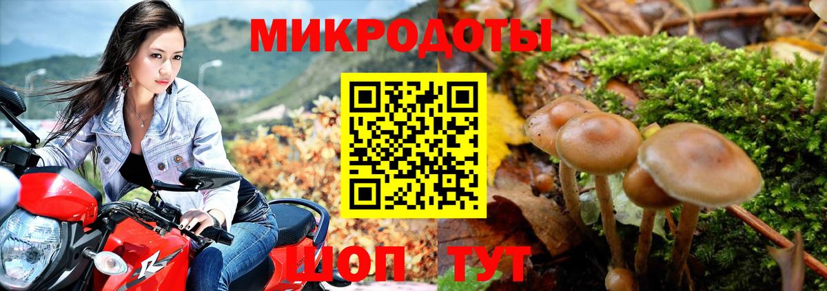 Псилоцибиновые грибы GOLDEN TEACHER Всеволожск